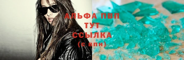 стаф Абинск
