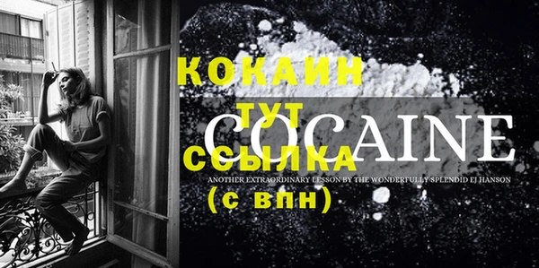 стаф Абинск