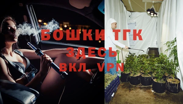 стаф Абинск