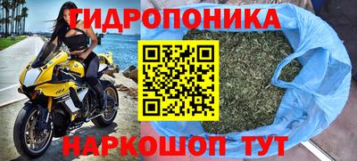 дживик Кунгур