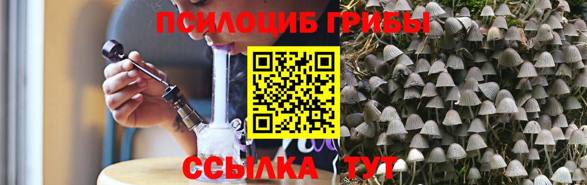 Галлюциногенные грибы MAGIC MUSHROOMS Калининград