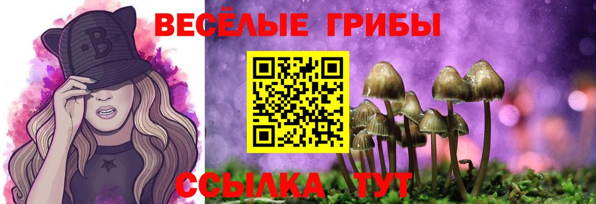 Галлюциногенные грибы мухоморы  Вход с VPN  Калининград 